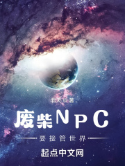 废柴NPC要接管世界 书评
