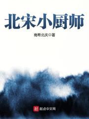 北宋小厨师小说免费阅读
